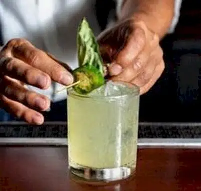 something-&-social-albany-bottomless*-&-brunch*